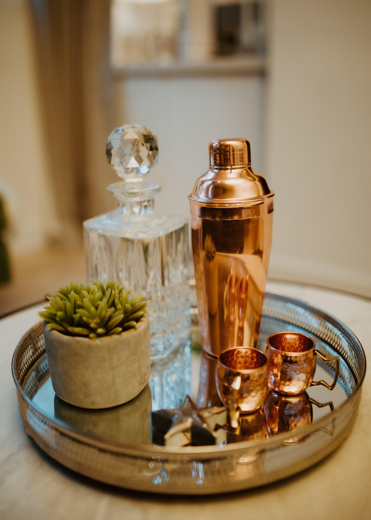 
                  
                    Cocktail Shaker Gift Set (8 Piece) - copperdirect
                  
                